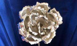 Garofano d'Argento di Giarre
