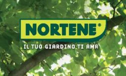 Nortene