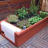 verdemax-orto-terrazzo-G_1342387970.jpg