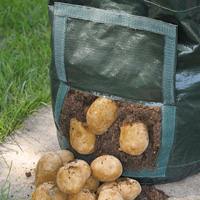 verdemax-patate-G_527197478.jpg verdemax-patate-G_527197478.jpg