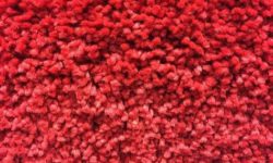 moquette
