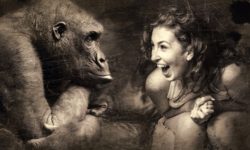 donna e gorilla