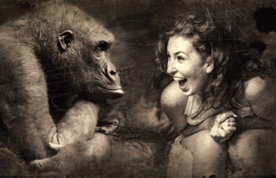 donna e gorilla