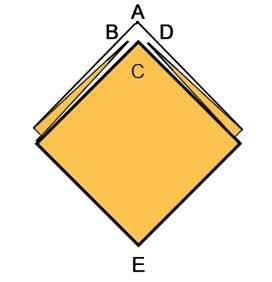 forma base D