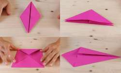 forma-base-tutte