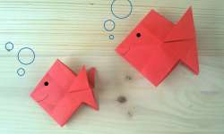 pesce-rosso