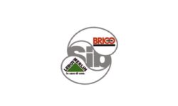 gruppo SIB