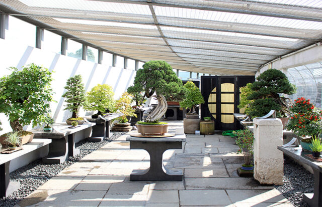 CRESPI Bonsai Museum
