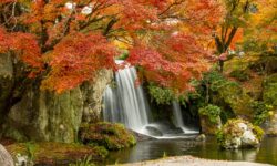 Quanta Acqua Per Ogni Pianta