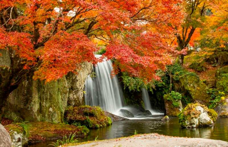 Quanta Acqua Per Ogni Pianta