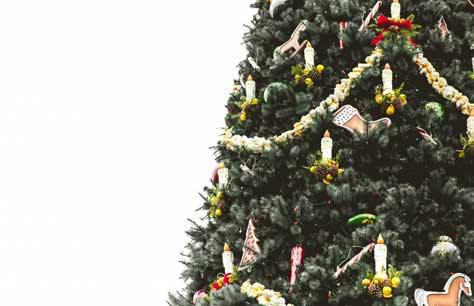 Albero Di Natale Vero.Albero Di Natale Vero O Finto Bricoliamo