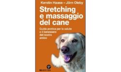 Massaggio cane