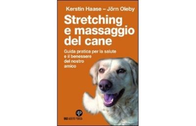 Massaggio cane