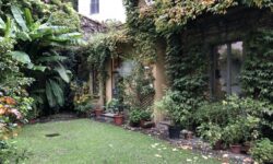 giardino con tante piante