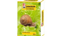 lumachicida