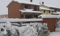 neve