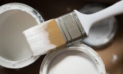 Pennello Setole Naturali o Sintetiche