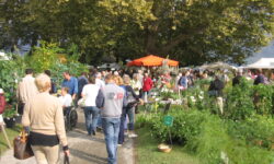 Orticolario 2010 Spettacolare