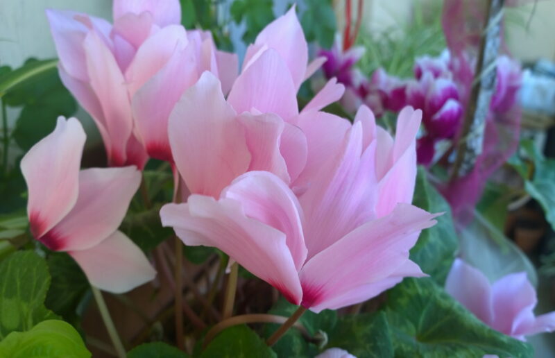 2015-04-03 14.23.11-1