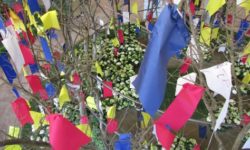 Orticolario a Euroflora