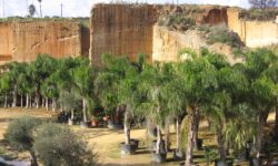 Marsala 2009 Zicchitella