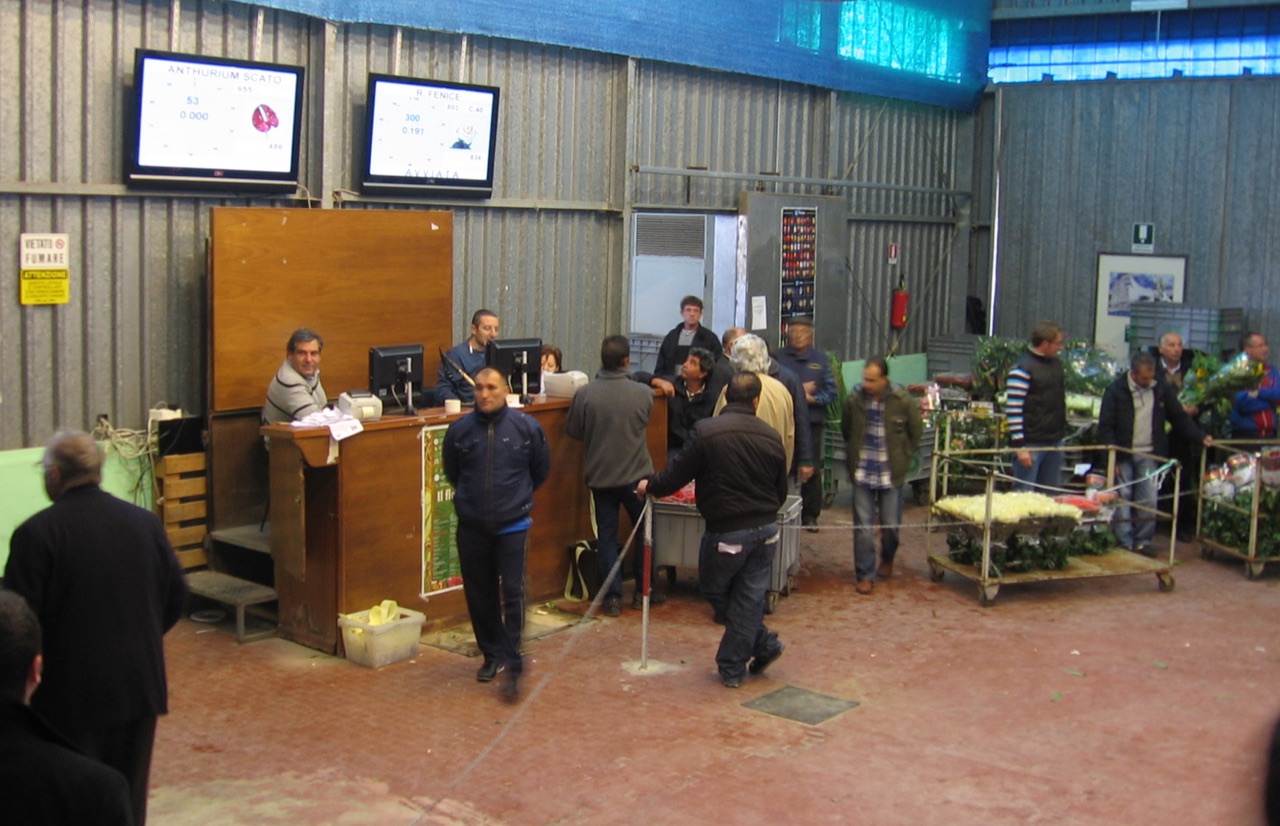 Marsala Asta 2009