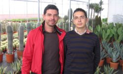 Marsala Ferracane 2009