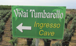 Marsala Tumbarello 2011