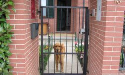 Verniciare Cancello Ferro