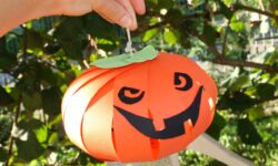 Halloween Zucca Cartone