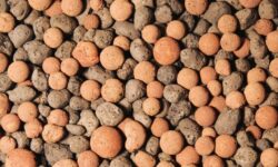 Argilla Espansa Agrileca