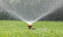 irrigatori