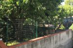 recinzione