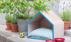 Cuccia Ryobi