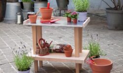 rinvasare piante e fiori