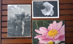 stampa foto su legno