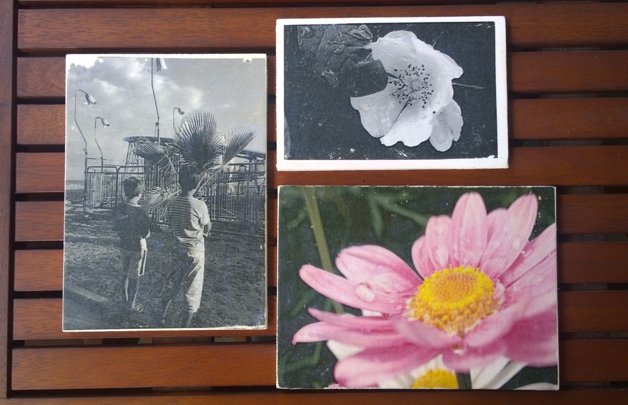 stampa foto su legno