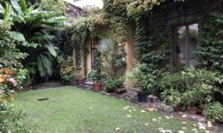 giardino in cortile a Milano