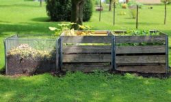 compost