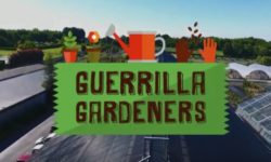 guerrilla gardeners