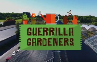 guerrilla gardeners