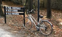 bicicletta nel bosco