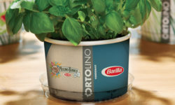 Ortolino Barilla