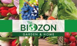 Biozon