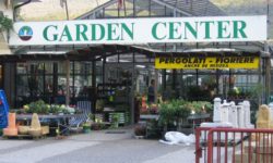 garden center