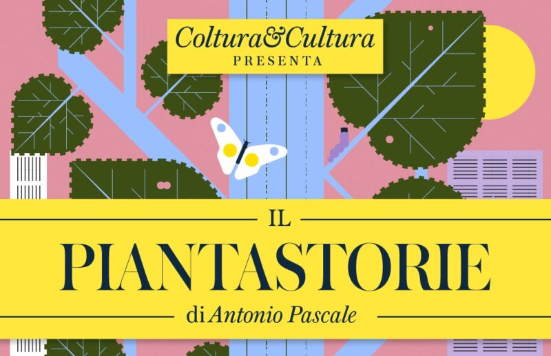 il piantastorie di Bayer