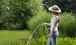 innaffiare il giardino e il prato