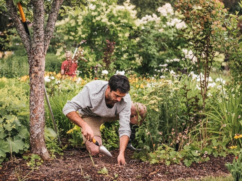 Primavera2020-Fiskars-trapiantatore