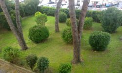 giardino con piante e aiuole