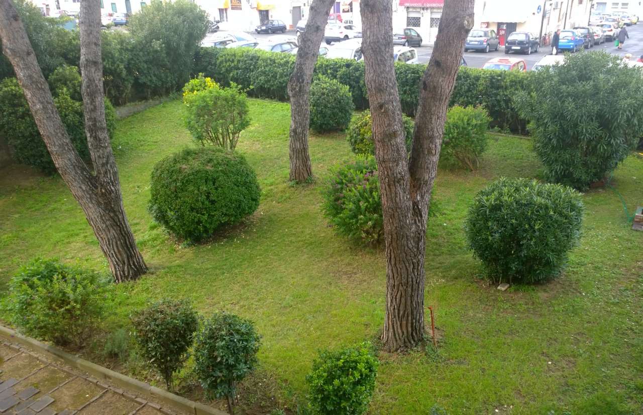 giardino con piante e aiuole
